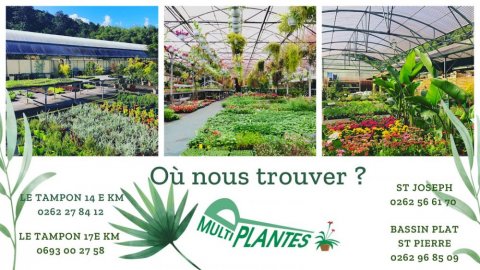 Multiplantes producteur Tampon Saint-Pierre Saint-Joseph