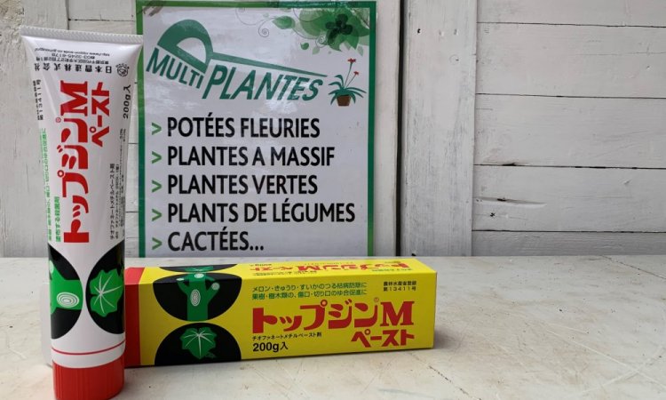 Vente de mastic à cicatriser pour arbre bonsai au Tampon